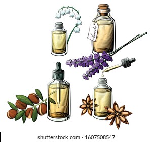 Essential oil bottle vector set. Extracts from Argan, Lavender, Anise and Lily of the valley.