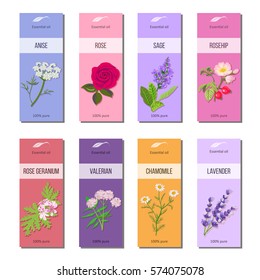 Essential oil labels set. Rose, anise, sage, rosehip, Lavender, rose Geranium, Chamomile, Valerian herb. 8 stripes collection. For cosmetics, perfume, health care products, aromatherapy