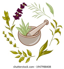 essential oil logo, hand-drawn style. vector illustration.