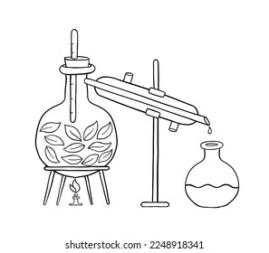 Essential oil making. Distillations aromatic oils. Perfumery substances Distiller equipment. Vector infographic illustration.