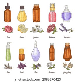 Essential oil mint, pine and verbena for aromatherapy, sketch vector set. Rose and lavender, lemon and jasmine vintage drawing. Hand drawn aroma therapy bottle, dropper, vial, spray diffuser and flask