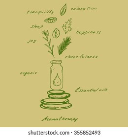 essential oil from organic plants in a glass bottle at a spa stones