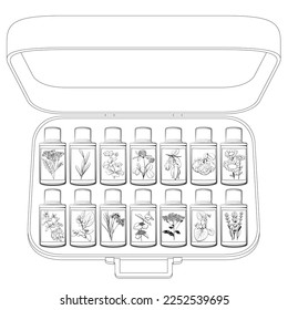 Essential Oils for Aromatherapy at Home. Essential Oils Pure and Natural. Best natural Essential Oils. Basic essential oil ingredients. Basic set. Illustration