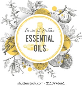 Essential oils circled frame with yellow coloured elements and the herbs. Sketchy vector hand drawn illustration.	