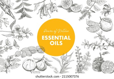 Essential oils circled frame with yellow coloured element and the herbs. Vintage vector hand drawn pattern.	