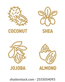 Essential oils extract icons set in bold line - coconut, shea, jojoba and almond