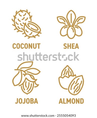 Essential oils extract icons set in bold line - coconut, shea, jojoba and almond