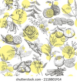 Essential oils. Herbal vintage seamless pattern with yellow round shapes in the background.