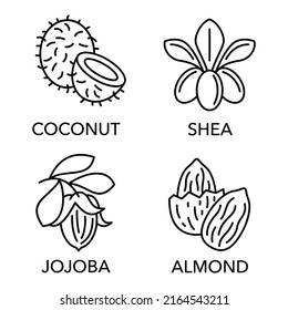 Essential oils icons in thin line - coconut, shea, jojoba and almond svg