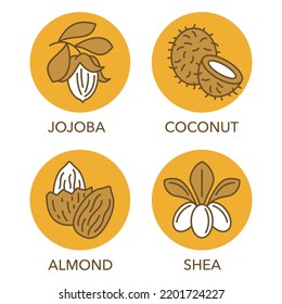 Ikonen für ätherische Öle in dünnen und gelben Kreisen - Kokosnuss, Schaf, Jojoba und Mandeln