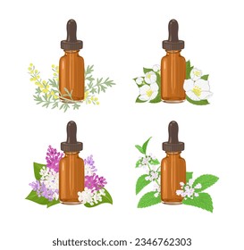 Aceites esenciales. Aceite de aroma de jazmín, lilac, vaquero y bálsamo de limón en botellas de gafas de vidrio oscuro. Ilustración de dibujos animados.