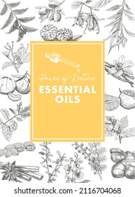 Essential oils square yellow frame. Vintage vector hand-drawn illustration.