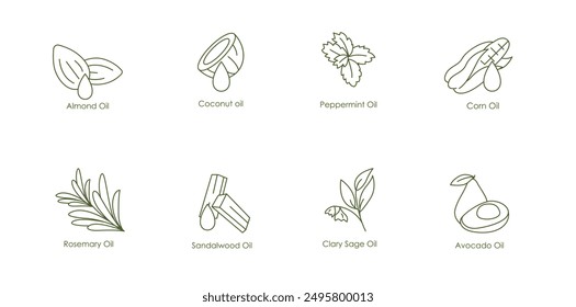 Essential Oils Vector Icons: Almond, Coconut, Peppermint, Corn, Rosemary, Sandalwood, Clary Sage, Avocado