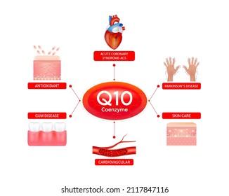 Essential vitamins and minerals for humans. Vitamin coenzyme Q10 help skin care antioxidant, Acute Coronary Syndrome, Parkinson's disease, Gum Disease. Cardiovascular system medical concept. Vector.