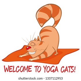 Essential Yoga Poses for Cats. Vector Illustration of a Cute Cat. Cartoon Character 