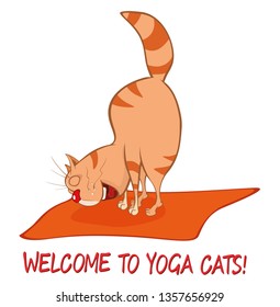 Essential Yoga Poses for Cats. Vector Illustration of a Cute Cat. Cartoon Character 