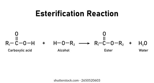 Esterification Reaction in Chemistry. Carboxylic Acid, Alcohol, Ester and Water.