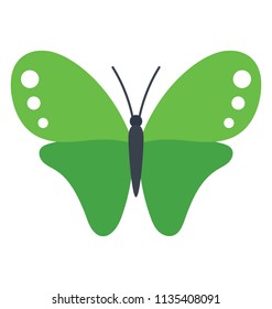
Esthetical implication of spring insect having dots on wings, an icon for scotch argus butterfly
