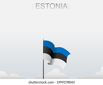 Estnische Flagge, die auf einem Pfosten steht hoch unter weißem Himmel