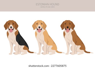 Estonian Hound clipart. Different coat colors set.  Vector illustration