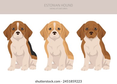 Estonian Hound puppy clipart. Different coat colors set.  Vector illustration