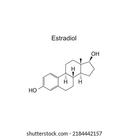 Estructura molecular de la hormona estradiol sobre fondo blanco. Ilustración vectorial.