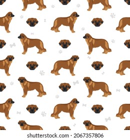 Estrela mountain dog seamless pattern. Different poses, coat colors set.  Vector illustration