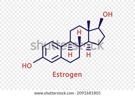 Estrogen chemical formula. Estrogen structural chemical formula isolated on transparent background. [[stock_photo]] © 