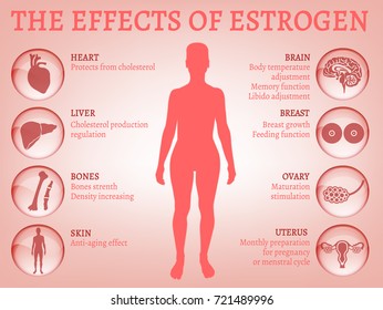 Estrogen effects Infographic image isolated on a light pink background. Female sex hormone and the role in human body. Scientific, educational and popular-scientific concept.