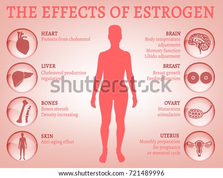 Estrogen effects Infographic image isolated on a light pink background. Female sex hormone and the role in human body. Scientific, educational and popular-scientific concept.