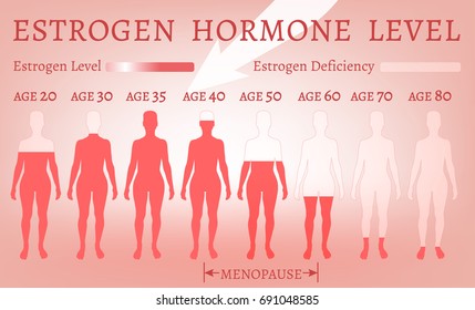 Estrogen Hormone Level. Beautiful medical vector illustration in pink colours. Scientific, educational and popular-scientific concept.
