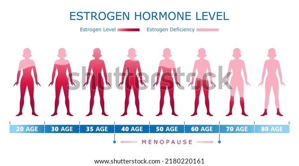 Estrogen hormone level.
Medical graphic diagram with woman body silhouette and age data.
Biological, medical, educational and scientific concept. Vector
illustration