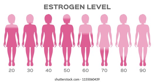 Estrogen Hormone Level Vector Man Stock Vector (Royalty Free ...