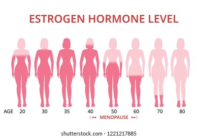 Estrogen Hormonspiegel Diagramm, Menopause, Vektorgrafik