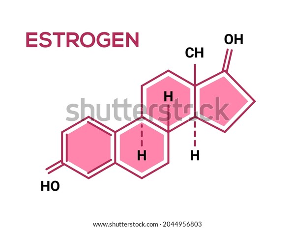 Estrogen hormone science symbol. Estrogen female\
sexual hormone chemical\
formula