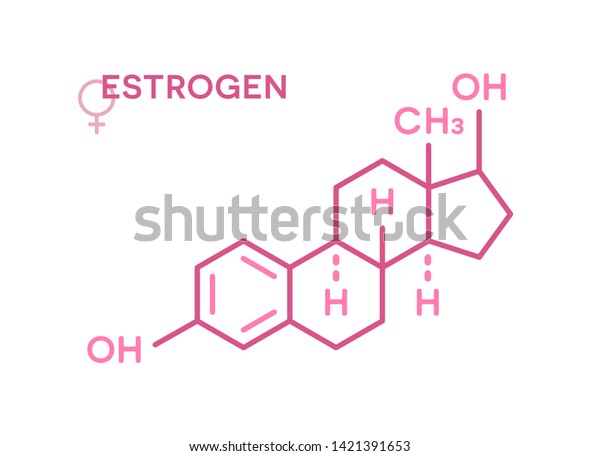 Estrogen Hormones Molecular Formula Sex Hormone Stock Vector Royalty Free 1421391653 1740