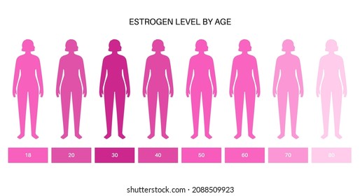 Estrogen level color chart. Sex hormone production by age, isolated flat vector infographic. Diagram with low and high balance of hormones in female body. Adult woman silhouette medical illustration.