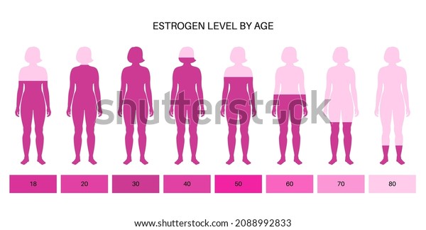 Estrogen Level Color Chart Sex Hormone Stock Vector Royalty Free 2088992833 Shutterstock 6814