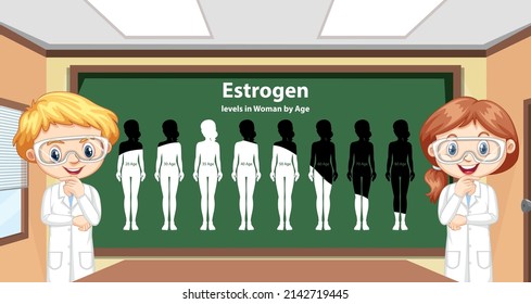 Estrogen levels in women by age illustration