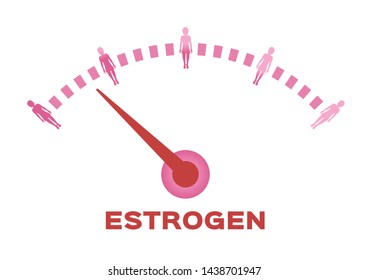 estrogen meter vector / women hormone