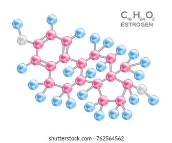 Estrogen Structure Vector