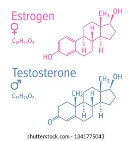 Estrogen and testosteron vector chemical formulas. Male and female steroid hormones. Chemical molecular formula.