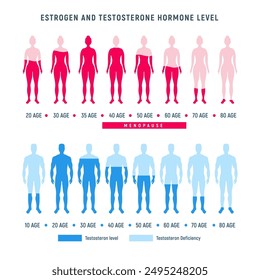 Estrogen and testosterone hormone levels by age. Diagram showing estrogen and testosterone levels across different ages for men and women