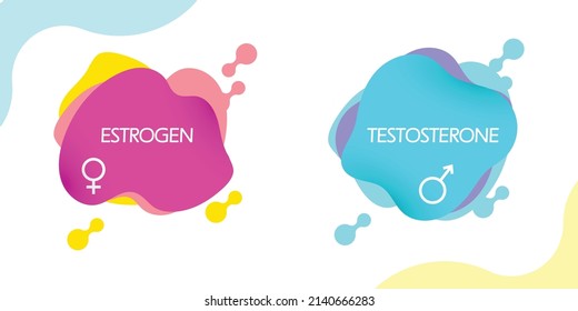 Estrogen And Testosterone Hormones Molecular Skeletal Formula With Color Liquid Fluid Shapes. Vector Graphic Illustration. Concept Of Hormonal Therapy, Development, Treatment For Woman And Man