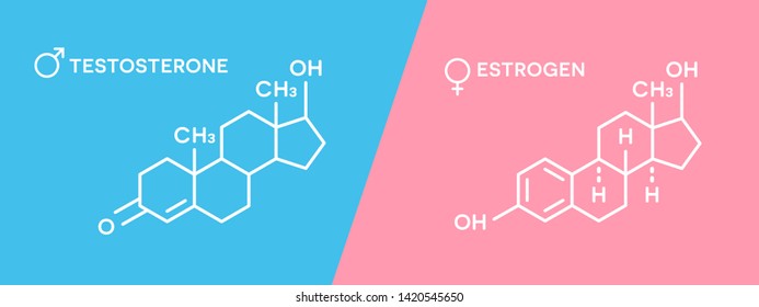 Estrogen and testosterone hormones symbol. Sex hormones molecular chemical formula.
