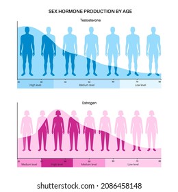 Estrogen And Testosterone Level Color Chart. Sex Hormone Production By Age Vector Infographic. Diagram With Low And High Balance Of Hormones In Female And Male Body. Woman And Man Silhouette.