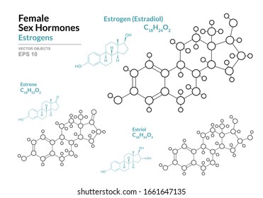 Estrogens. Estradiol, Estrone, Estriol. Female Sex Hormones. Structural Chemical Formula and Molecule Model. Line Design. Vector Illustration 