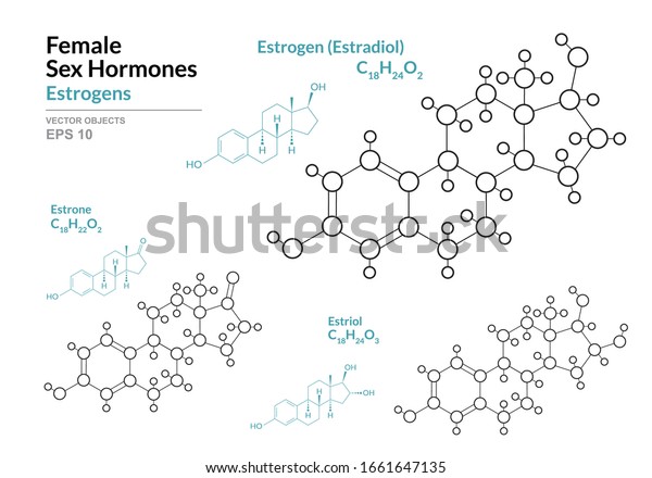 Vektor Stok Estrogens Estradiol Estrone Estriol Female Sex Tanpa Royalti 1661647135 4990