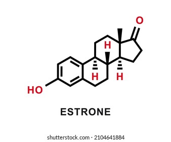 Estrone chemical formula. Estrone chemical molecular structure. Vector illustration