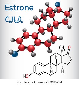 Estrone E1 (estrogen, minor female sex hormone ) - structural chemical formula and molecule model. Vector illustration 
